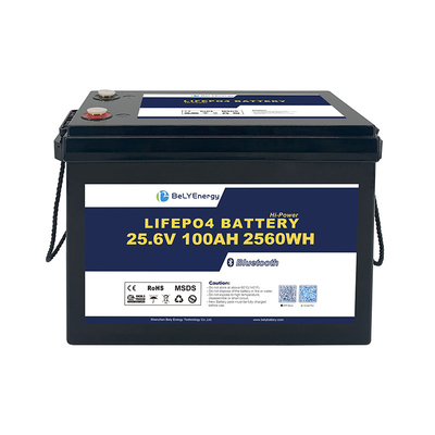 kopen 24V 100Ah oplaadbare LiFePo4-batterij met M8-terminals en beschermingsfuncties online manufacture