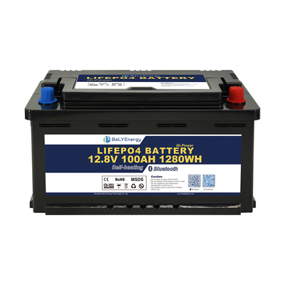 kopen IP65 lithium batterij 14,6V overspanningsbeveiliging voor buiten- en zware toepassingen online manufacture