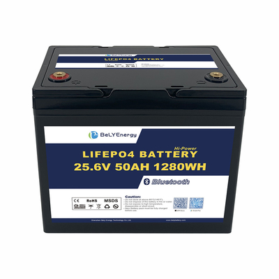 OEM ODM ABS Anti-UV Marine Boat Battery 24V 50AH LiFePO4 Lithiumbatterij Met BT