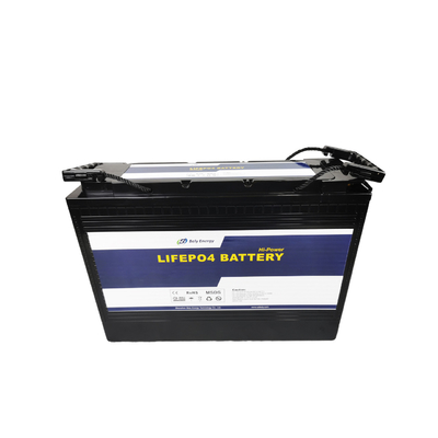 24 de Diepe Cyclus Marine Battery van het voltlithium